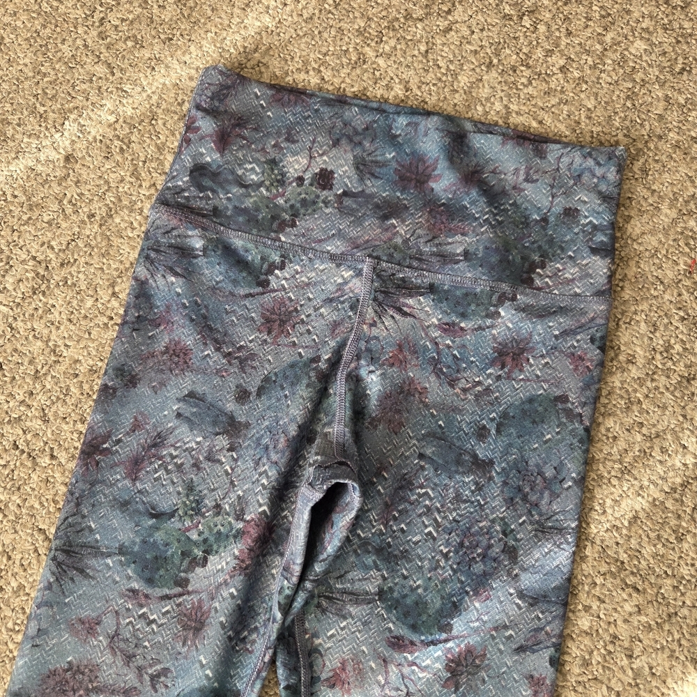 Evolution And Creation Cactus Succulent Sugar Sku… - image 4